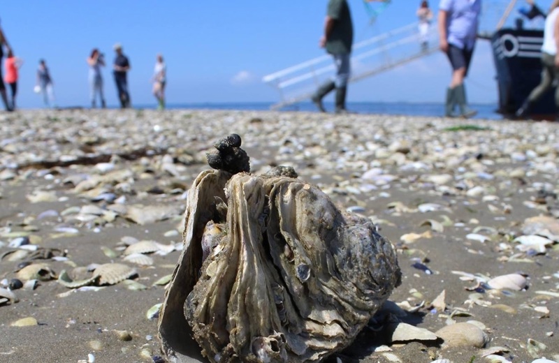Marstrand-Rondvaarten