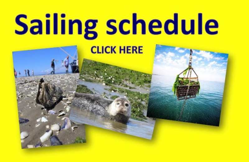 Marstrand-Rondvaarten